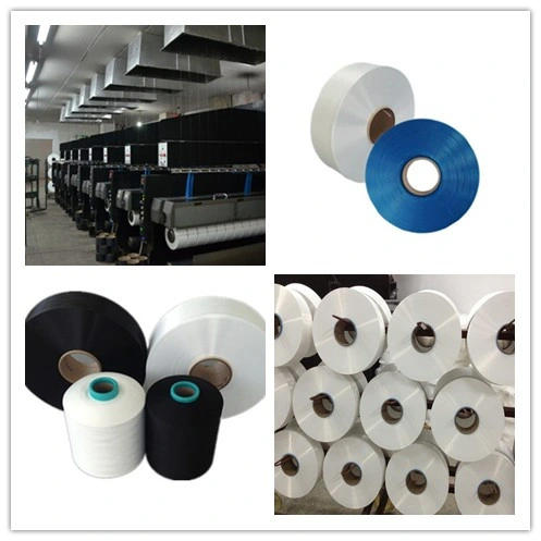 Nylon Yarn (FDY high tenacity yarn and DTY yarn from 15D to 2000D)